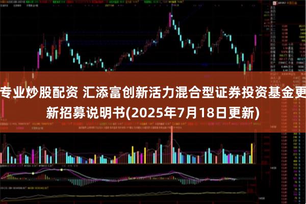 专业炒股配资 汇添富创新活力混合型证券投资基金更新招募说明书(2025年7月18日更新)