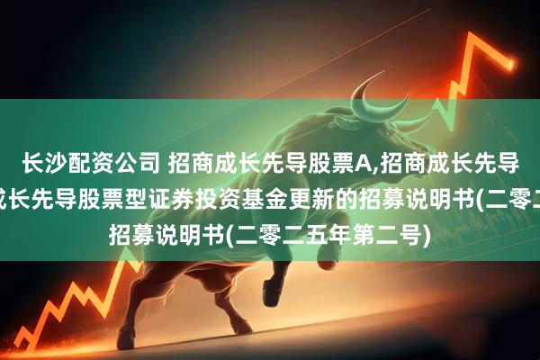 长沙配资公司 招商成长先导股票A,招商成长先导股票C: 招商成长先导股票型证券投资基金更新的招募说明书(二零二五年第二号)