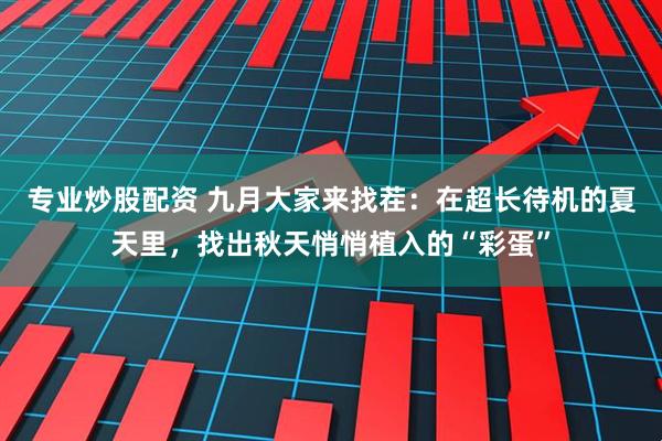 专业炒股配资 九月大家来找茬：在超长待机的夏天里，找出秋天悄悄植入的“彩蛋”